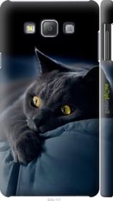 Чохол на Samsung Galaxy A7 A700H Димчастий кіт "825m-117-2448"
