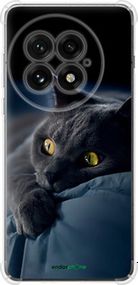 Чохол на OnePlus 13 5G Димчастий кіт "825sp-3875-2448"