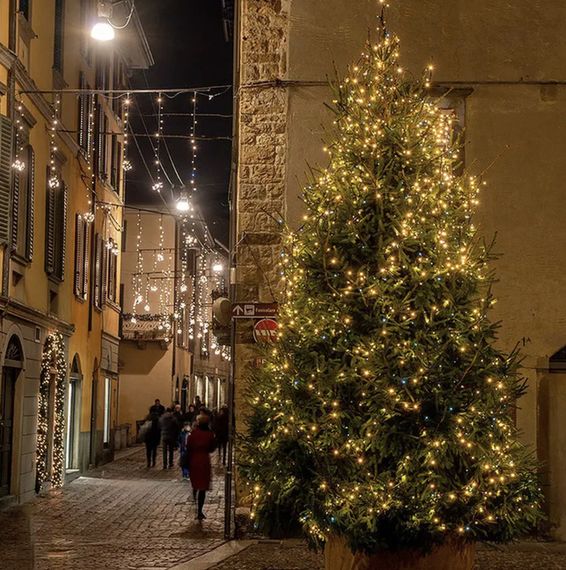 Гірлянда Роса нитка 500 LED, довжина 50 м з пультом, зелений, теплий XPRO (47724-717_377) | Зображення 6