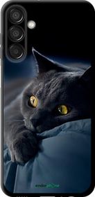 Чохол на Samsung Galaxy M15 Димчастий кіт "825b-3684-2448"