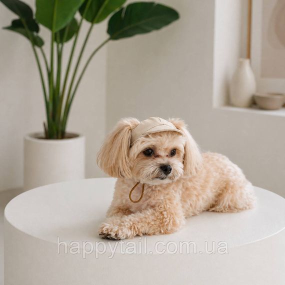 Кепка Pet Fashion Glamor для собак XL золотиста бавовняна | Зображення 2