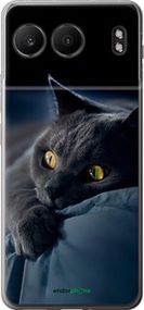 Чохол на OnePlus Nord 4 5G Димчастий кіт "825u-3790-2448"