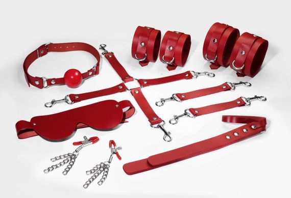 Набір Feral Feelings BDSM Kit 7 Red, наручники, поножі, конектор, маска, падл, кляп, затискачі sexstyle