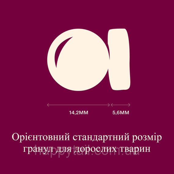 Беззерновой сухой корм Carnilove Active Lamb & Wild Boar для активных собак ягненок и дикий кабан 4 кг | Зображення 4
