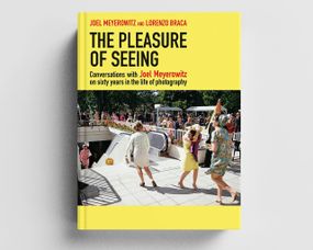 Книга про вуличну фотографію Joel Meyerowitz: The Pleasure of Seeing книги з фотографіями відомих фотографів
