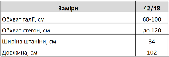 Жіночі штани оверсайз широкі зі стрілками знизу на затяжках колір чорний, розмір 42/48 HI2735 | Зображення 6