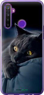 Чохол на Realme 6i Димчастий кіт "825t-2059-2448"