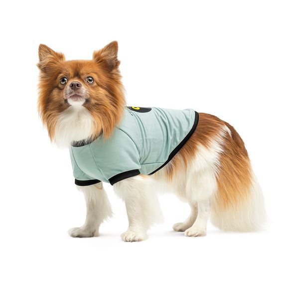 Футболка Pet Fashion Oscar для собак бавовна трикотаж рібана блакитна XXS | Зображення 1