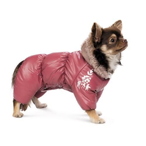 Комбінезон Pet Fashion Cherry S2 дівчинка для собак | Зображення 2