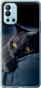 Чохол на OnePlus 9R Димчастий кіт "825u-2326-2448"