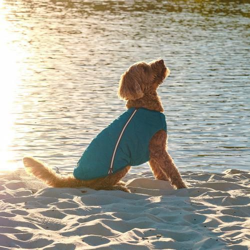 Жилет Pet Fashion «E.Vest» для собак, размер M2, морська хвиля | Зображення 5