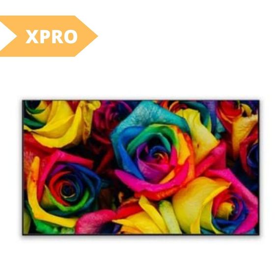 ALR экран для ультракороткофокусного проектора XPRO LedProjector PET Crystal BSP (FFB), 100" черный (W01028_14599) | Зображення 1