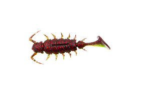 Силікон Alien Bug Lucky John Pro Series 2.5in / 63мм / 7шт / колір T44 (140165-T44)