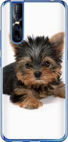 Чехол на Vivo V15 pro Щенок йоркширского терьера "931u-1763-17620"