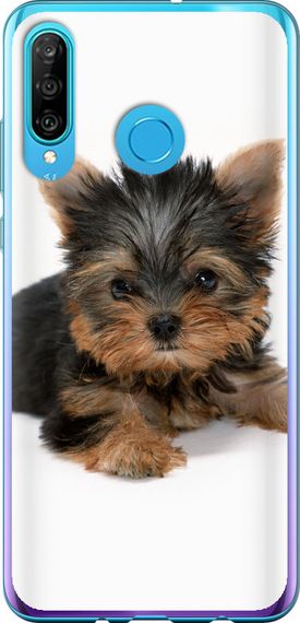Чехол на Huawei P30 Lite Щенок йоркширского терьера "931u-1651-17620"