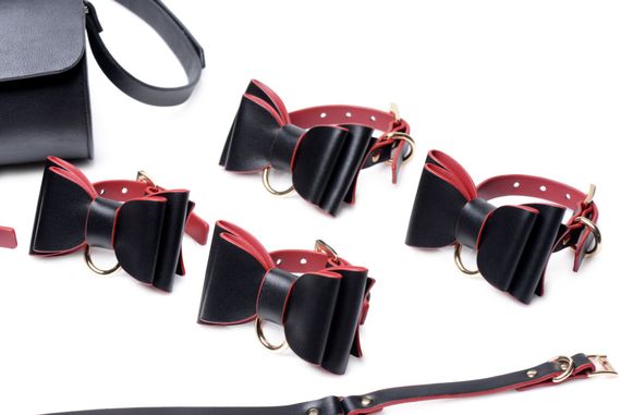 Набір БДСМ з дорожньою сумкою Master Series: Bow — Luxury BDSM Set With Travel Bag, 11 предметів | Зображення 3