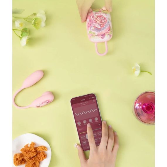 Виброяйцо и вакуумный стимулятор для клитора 2в1 BeYourLover Magic Suitcase в зарядном кейсе Sex Aura | Зображення 6