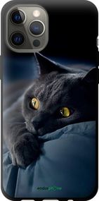 Чохол на iPhone 12 Pro Max Димчастий кіт "825b-2054-2448"