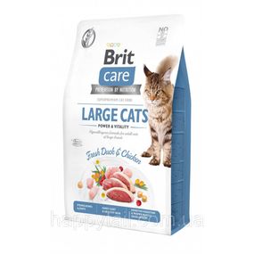 Корм сухой Brit Care Cat Grain Free Large Power Vitality для взрослых котов крупных пород с уткой и курицей 2 кг