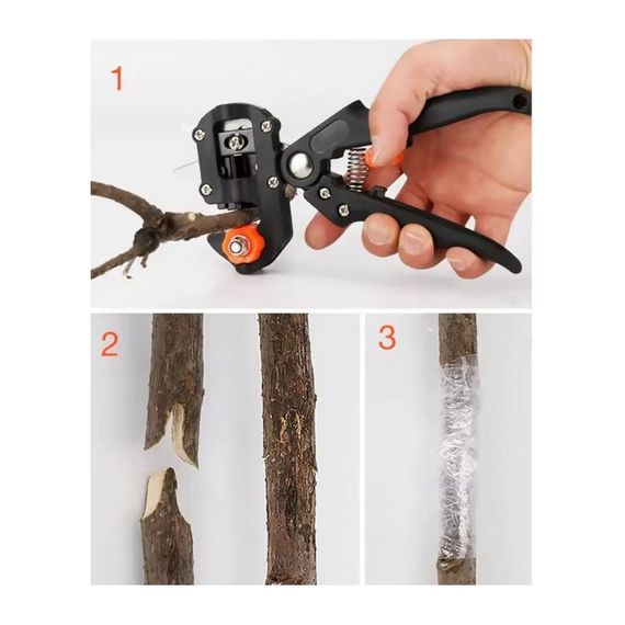 Секатор для щеплення дерев з трьома лезами | Зображення 2