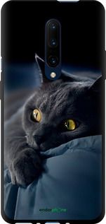 Чохол на OnePlus 7 Pro Димчастий кіт "825b-1696-2448"