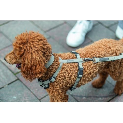 Ошейник Trixie CityStyle экстраширокий для собак хлопок L–XL 50–57 см 35 мм светло-серый | Зображення 3