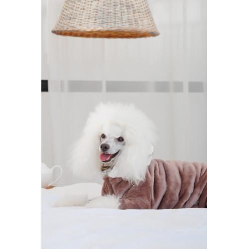 Костюм Pet Fashion ALF для собак розмір M бежевий | Зображення 4