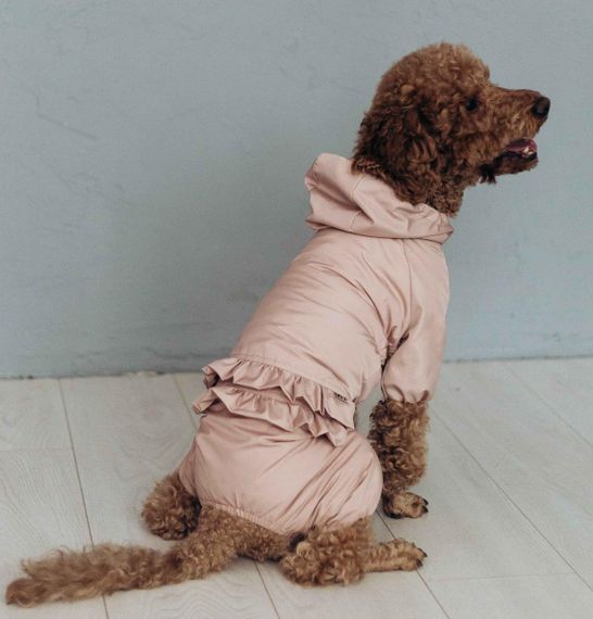 Дощовик ДЛЯ ДIВЧАТ рюша пудра MD-21