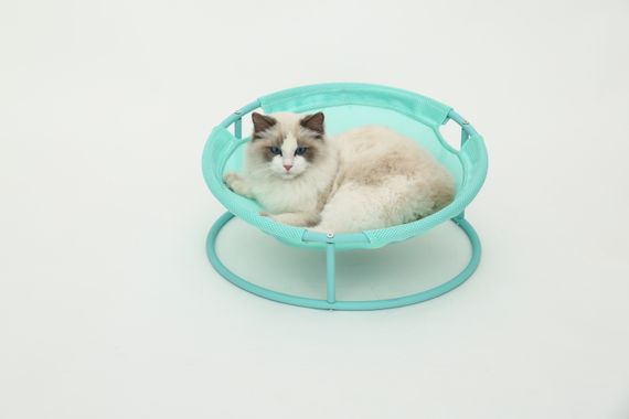 Складаний лежак для домашніх тварин MISOKO Pet bed round, 45x45x22 cm, mint | Зображення 4