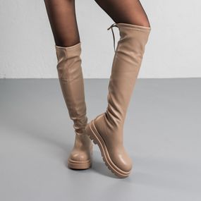 Ботфорты женские Fashion Whinny 3806 40 размер 255 см Бежевый