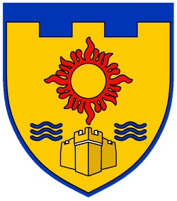 Шеврон 113 окремий батальйон територіальної оборони (вишитий)