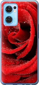 Чехол на Oppo Reno7 5G Красная роза "529u-2669-17620"