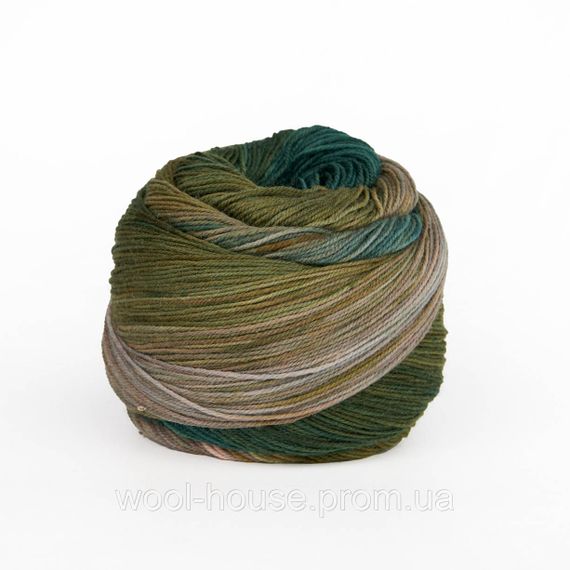 Шкарпеткова пряжа Laines du Nord Watercolor Sock, 200 | Зображення 1