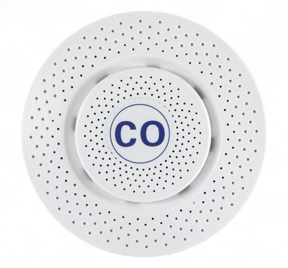 486121 Датчик уровня угарного газа CO Tervix Pro Line Zigbee CO | Зображення 1