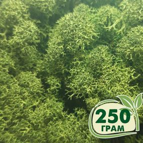 Стабілізований мох ягель Зелений темний 250 грам