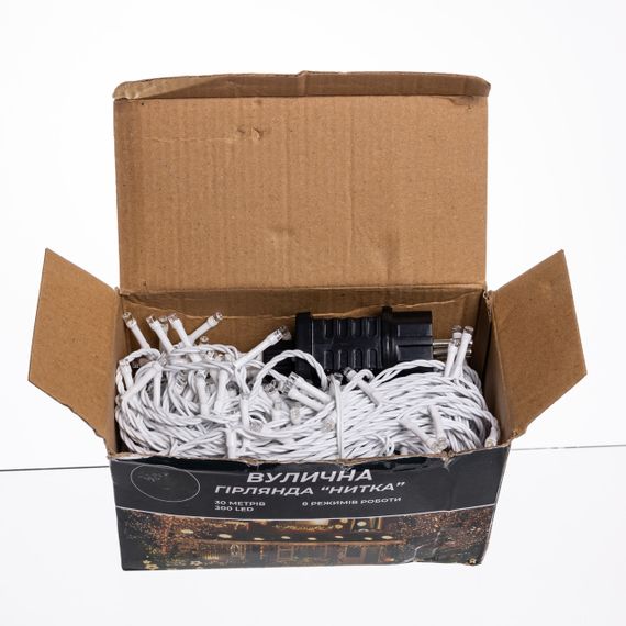 Гірлянда Нитка вулична 30 м 300 LED білий провід Білий CF300L30MWW | Зображення 3