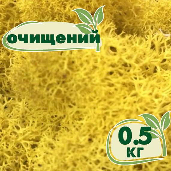 Очищений стабілізований мох ягель Жовтий класичний 0,5 кг