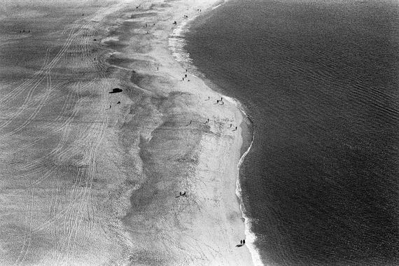 Фотопленка чёрно-белая ILFORD HP5 Plus 400 135-36 | Зображення 6