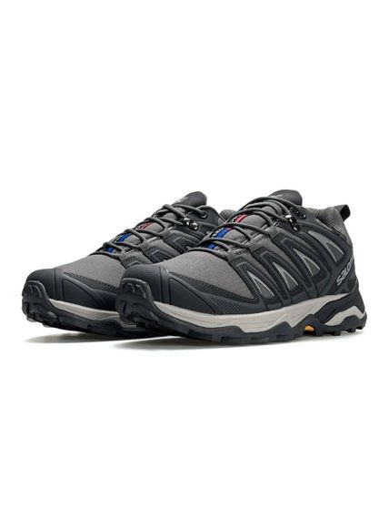Кросівки чоловічі Salomon Speed Cross Pro GTX Thinsulate Grey весна / осінь A4560 | Зображення 1
