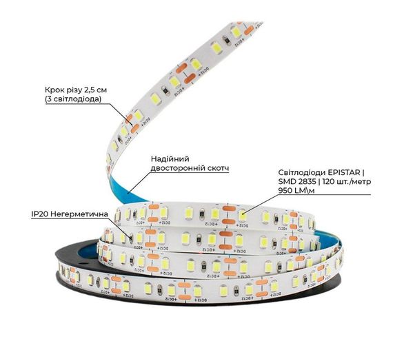 Світлодіодна LED стрічка PROLUM™ 12V 2835\120 IP20 Series "S" Холодний-білий 9000-10000К 9000К | Зображення 2