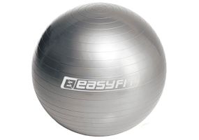 М'яч для фітнесу EasyFit 65 см сірий (EF-3007-GY)