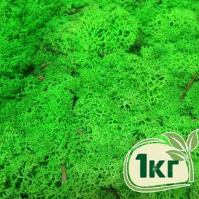Стабілізований мох ягель Зелений трав'яний світлий 1 кг