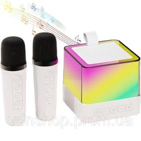 Портативная караоке система с двумя микрофонами Bluetooth акустическая колонка для дома вечеринок White DB-95