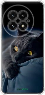 Чохол на OnePlus 13 5G Димчастий кіт "825sp-3875-2448"