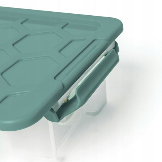 Контейнер для хранения пластиковый с крышкой Rotho (Рото) EVO SAFE 30 л (10080) | Зображення 4