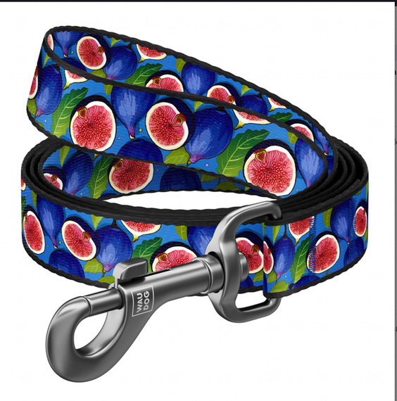 Collar WAUDOG Nylon Поводок с рисунком "Інжир"122х1,5 см