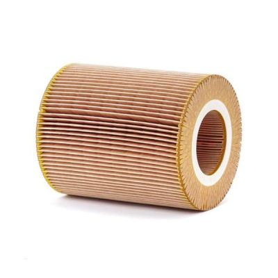 Воздушный фильтр для автомобиля Mann C1381 | Зображення 1