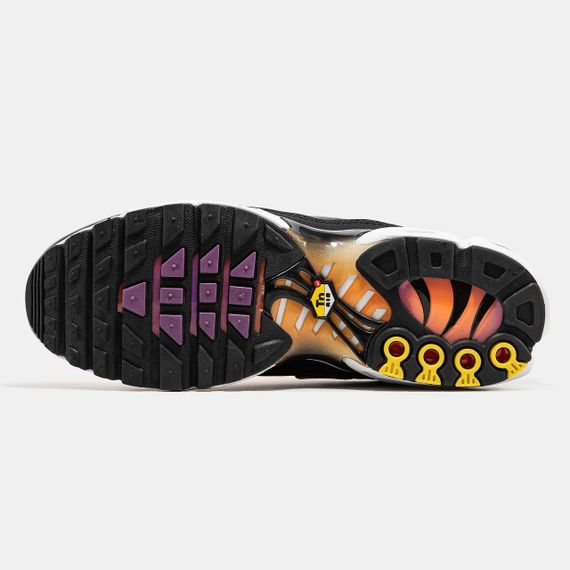 Кросівки Air Max Tn Plus / аір макс тн плюс  топ весна / осінь 2187 45 29 | Зображення 1