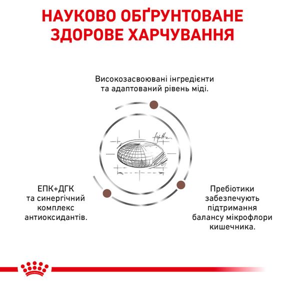 Сухий корм для котів із проблемами печінки Royal Canin Hepatic Feline, 4 кг | Зображення 2