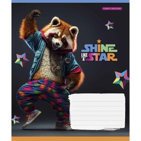 Тетрадь ученическая "Dance star" 018-3276K-3 в клетку, 18 листов